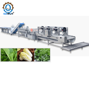 Vegetable Fruit Washing Blanching Drying Machine