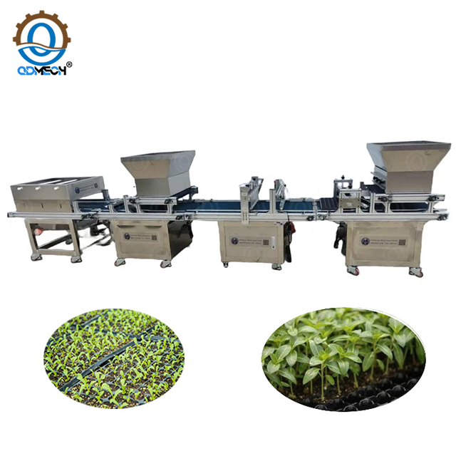 Automation Burrow Seedling Machine with Cheap Price