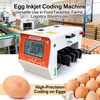 Automatic High Capacity Egg Inkjet Printer