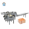 High Efficiency Automatic Egg Tray Packing Production Line