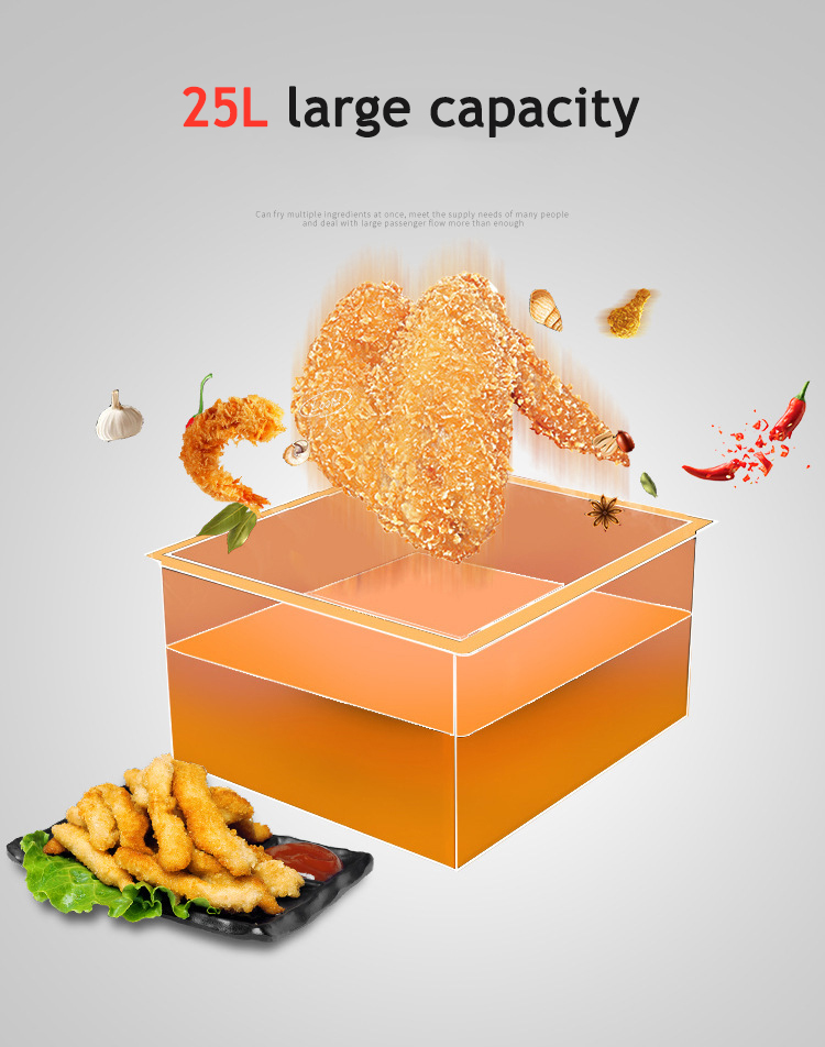 Pressure Fryer 5