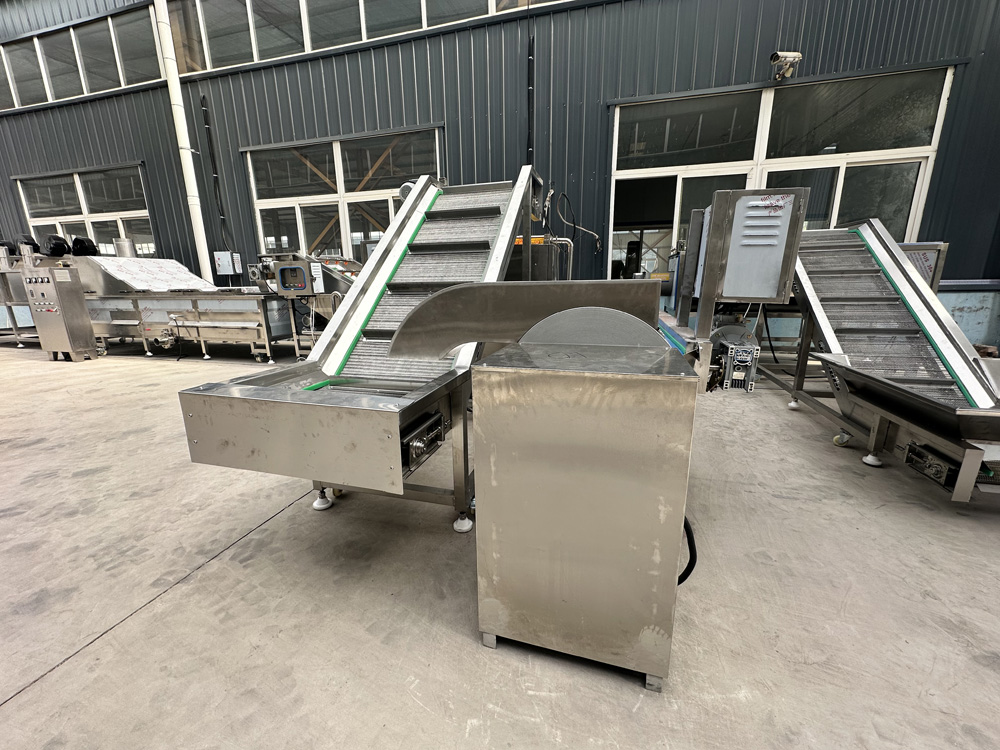 Quick-frozen French Fries Production Line-fruit And Vegetable Processing Industry