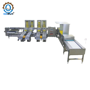  Fully automatic egg grading machine Professional eggs packing machine