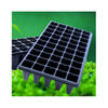 Automation Burrow Seedling Machine with Cheap Price
