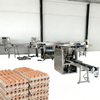High Efficiency Automatic Egg Tray Packing Production Line