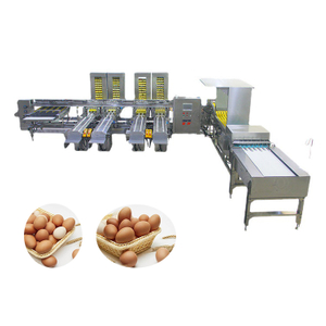  Fully automatic egg grading machine Professional eggs packing machine