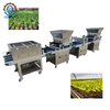 Automation Burrow Seedling Machine with Cheap Price