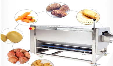 Innovations in Fruit And Vegetable Washing Machines: Enhancing Hygiene And Production Efficiency