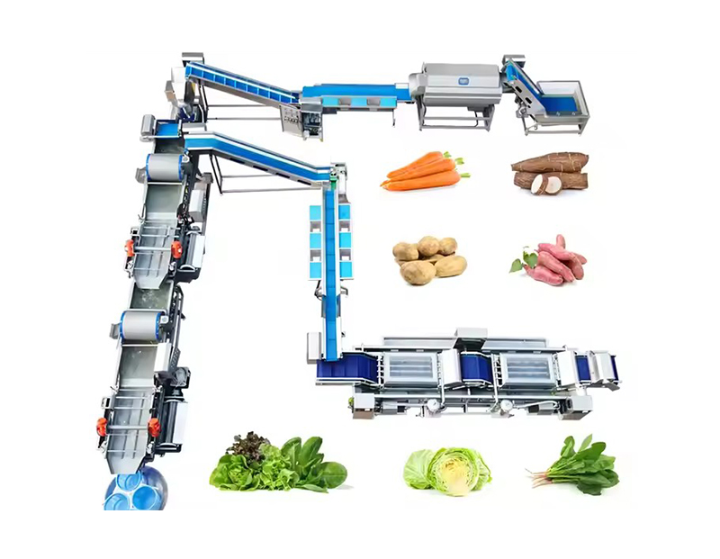 Clean Air Dried Rinsed Vegetable Production Line