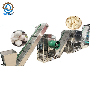 Fully Automatic Garlic Breaking Peeling Processing Machine for Sales