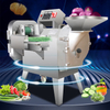 Multifunctional Automatic Vegetable Cutter
