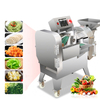 Multifunctional Automatic Vegetable Cutter