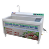 Ozone Fruit And Vegetable Washer
