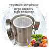 Commercial Vegetables Dehydration Machine