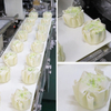 Shumai Making Machine 5000 Pcs/h
