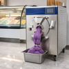 Commercial Hard Ice Cream Batch Freezer 