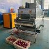 Stainless Steel Automatic Onion Peeling Machine Onion Processing Equipment