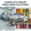PLC Controlled Industrial Food Fruit Tea Vacuum Freeze Dryer 