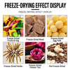 Home Use Freeze Dryer Dehydrator Machine For Fruit Vegetable Meat Pet Food