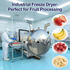 PLC Controlled Industrial Food Fruit Tea Vacuum Freeze Dryer 
