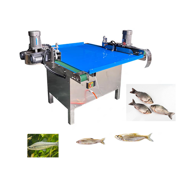 High Efficiency Small Fish Killing Machine Stainless Steel Commercial Fish Processing Equipment