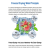 Home Use Freeze Dryer Dehydrator Machine For Fruit Vegetable Meat Pet Food