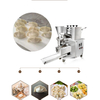 Automatic Meat and Vegetable Dumpling Maker