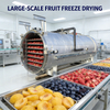 PLC Controlled Industrial Food Fruit Tea Vacuum Freeze Dryer 