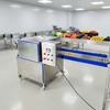 Stainless Steel Automatic Vegetable Splitting Machine Fruit Root Crop Half Cutting Equipment