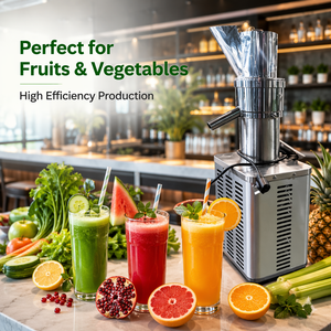 Heavy Duty Stainless Steel Juicer Extractor 