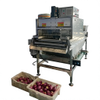 Stainless Steel Automatic Onion Peeling Machine Onion Processing Equipment